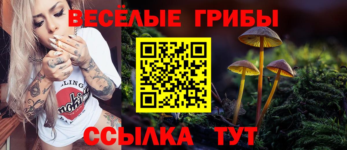 Галлюциногенные грибы MAGIC MUSHROOMS Ачинск