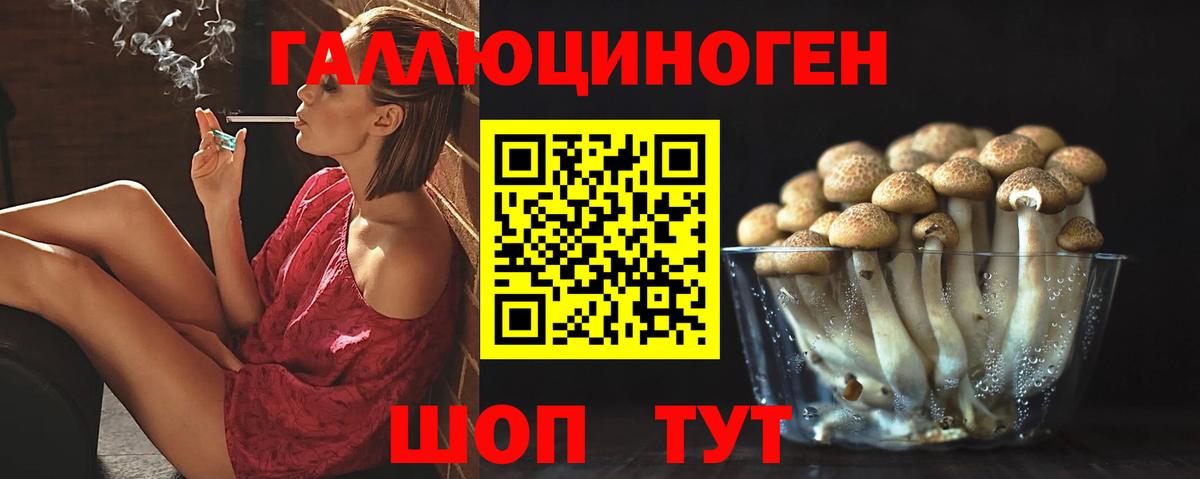 Псилоцибиновые грибы мицелий  Вход с VPN  Ачинск 